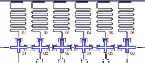 科技先鋒 中國科大量子計算技術研究取得多項新進展